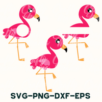 Flamingo SVG, Flamingo Monogram Frame