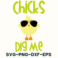 a poster with a bird wearing sunglasses and the words chicks dig me svg -