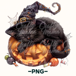 Black Cat Pumpkin Png