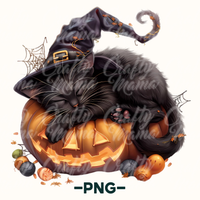 Halloween Black Cat Pumpkin Png