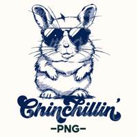 Funny Chinchilla Png