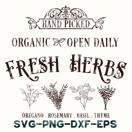 organic and open daily fresh herbs