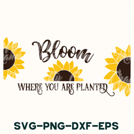 Bloom Where You Are Planted, Sunflower