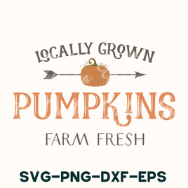 Locally Grown Pumpkins - Pumpkin Farm