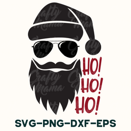 a santa claus with sunglasses and a beard wearing a santa hat