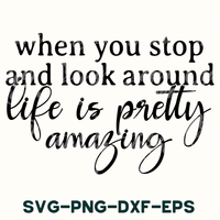 a quote that says when you stop and look around life is pretty amazing