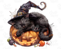 Black Cat Pumpkin Png