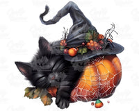 Halloween Black Cat Pumpkin Png