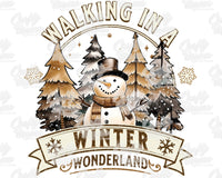 Walking In A Winter Wonderland Png