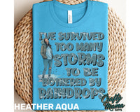 I've Survived Too Many Storms Shirt