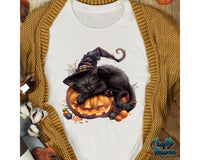 Halloween Black Cat Pumpkin Png