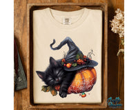 Halloween Black Cat Pumpkin Png