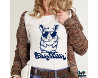 Funny Chinchilla Png