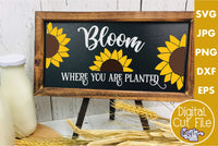 Bloom Where You Are Planted, Sunflower