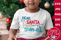 Dear Santa, I Was Framed