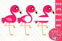 Flamingo SVG, Flamingo Monogram Frame