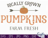 Locally Grown Pumpkins - Pumpkin Farm