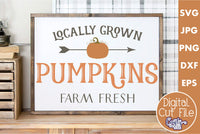 Locally Grown Pumpkins - Pumpkin Farm